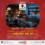 اشتراك Spider TV الاصلي في الكويت